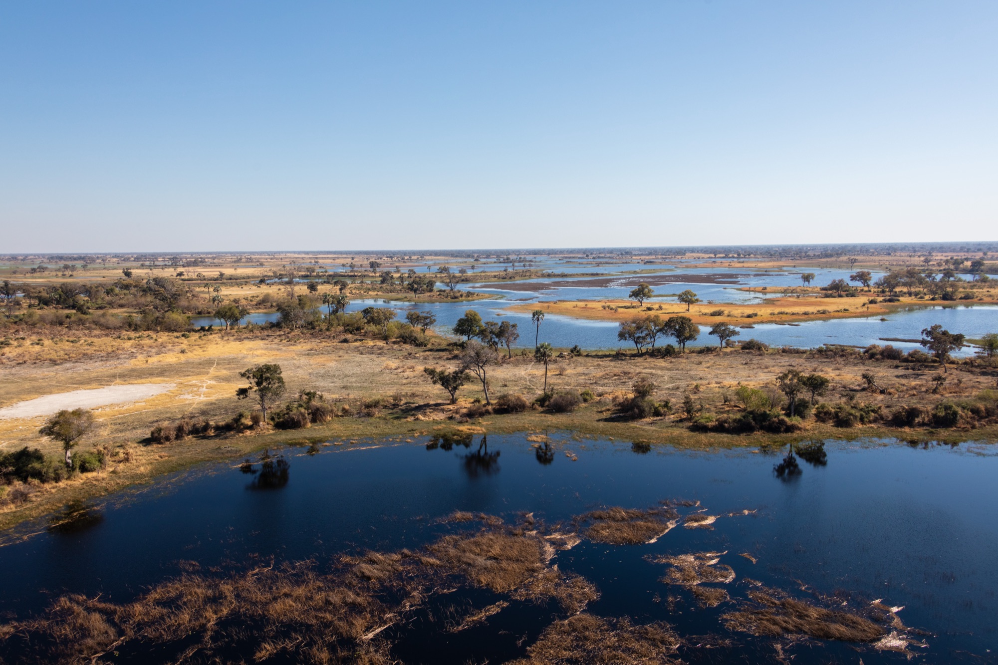Botswana vs Tanzania