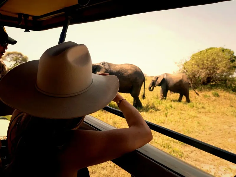 Kingse Safaris guests on a private game drive in Tanzania