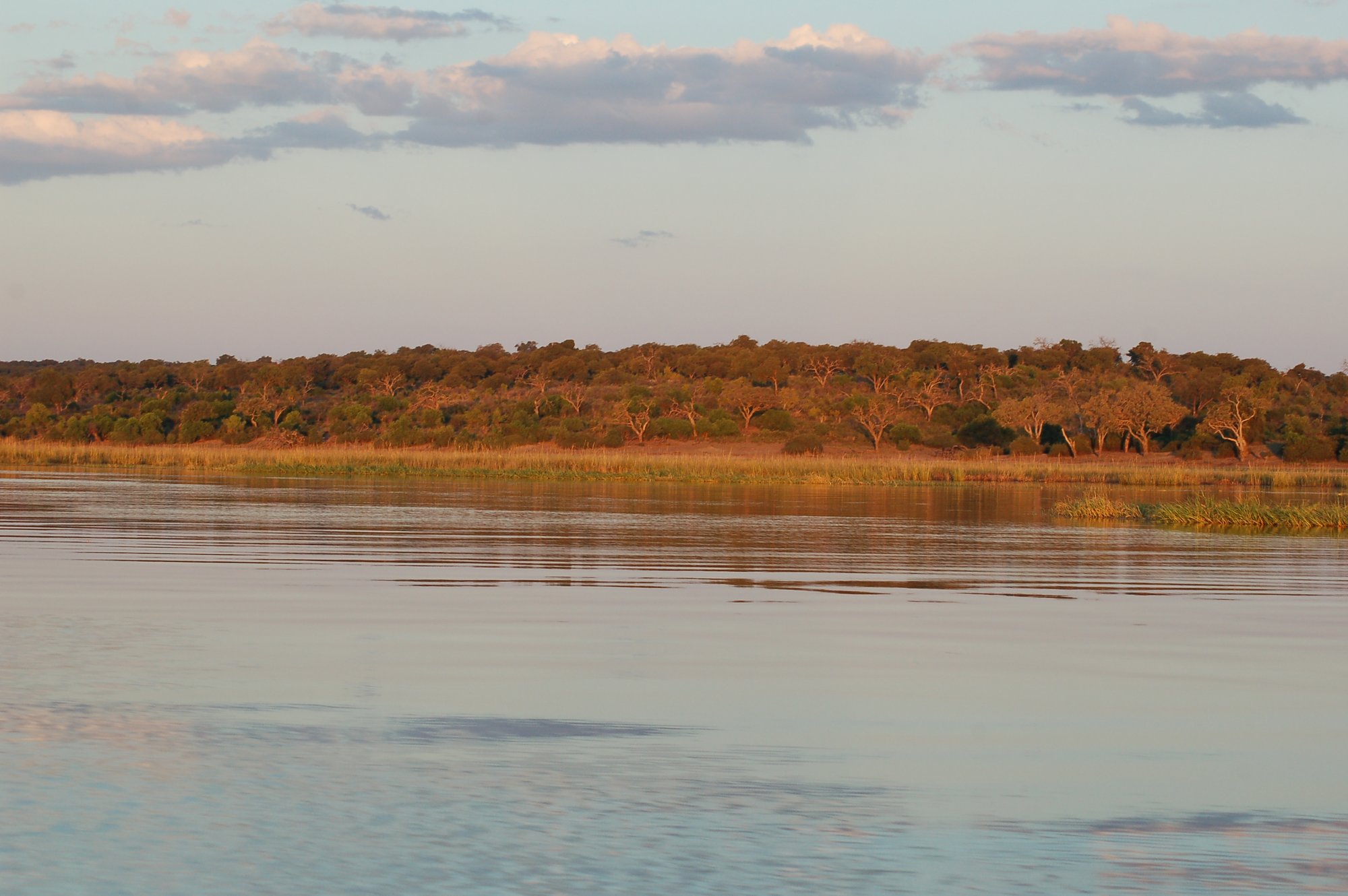 Botswana vs Tanzania: Which Safari Is Right for You?