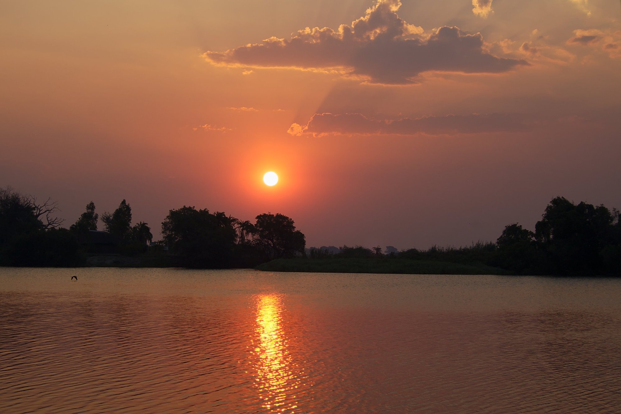 Sunset boat cruise on the Chobe River