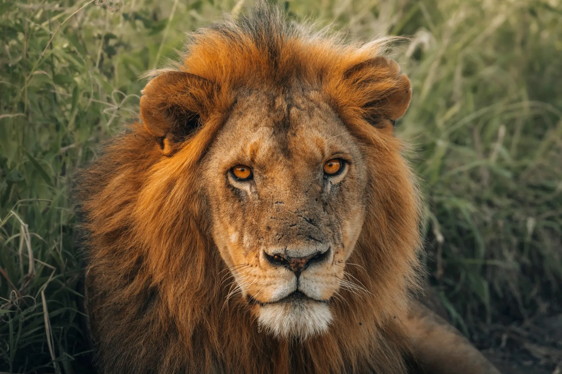 Kenya