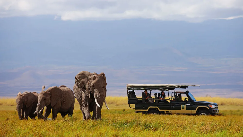 Guests watching elephants from an open vehicle in Amboseli