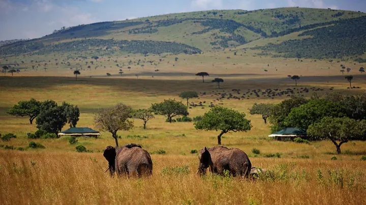 Elewana Sand River Masai Mara