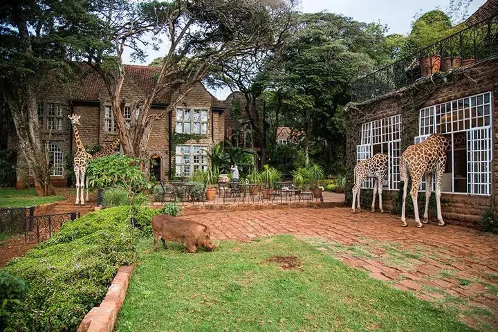 Giraffe Manor