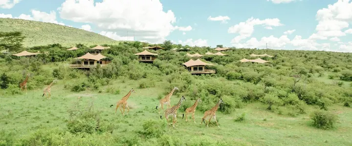 Mara Bushtops