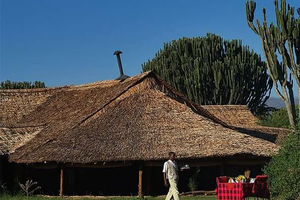 Mbweha Safari Camp