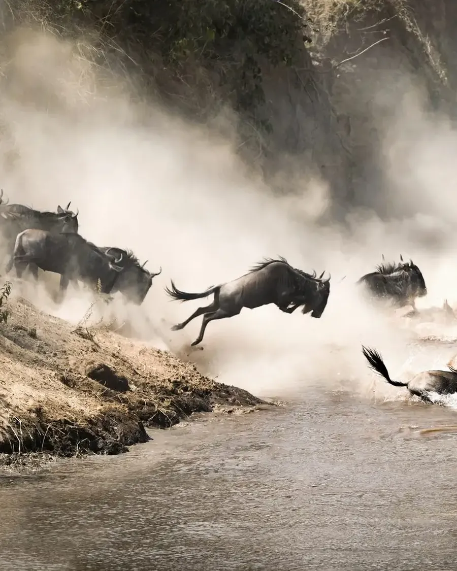 Kenya vs Tanzania Safari: An Honest Comparison