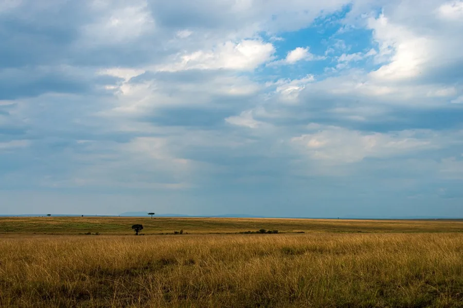 Green plains and a big sky over the Masai Mara