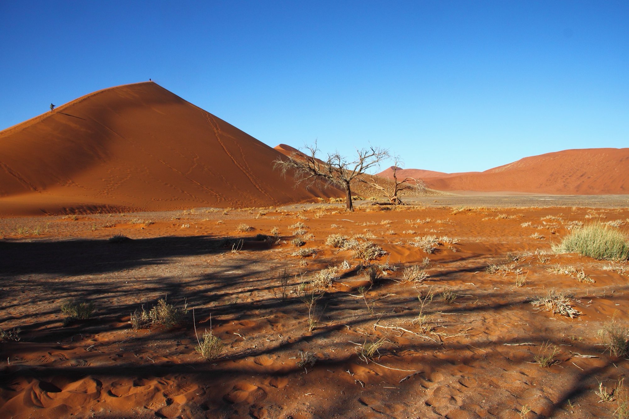 Namibia safari cost