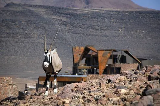 An oryx standing among rocks in front of a glass-and-stone suite at andBeyond Sossusvlei Desert Lodge