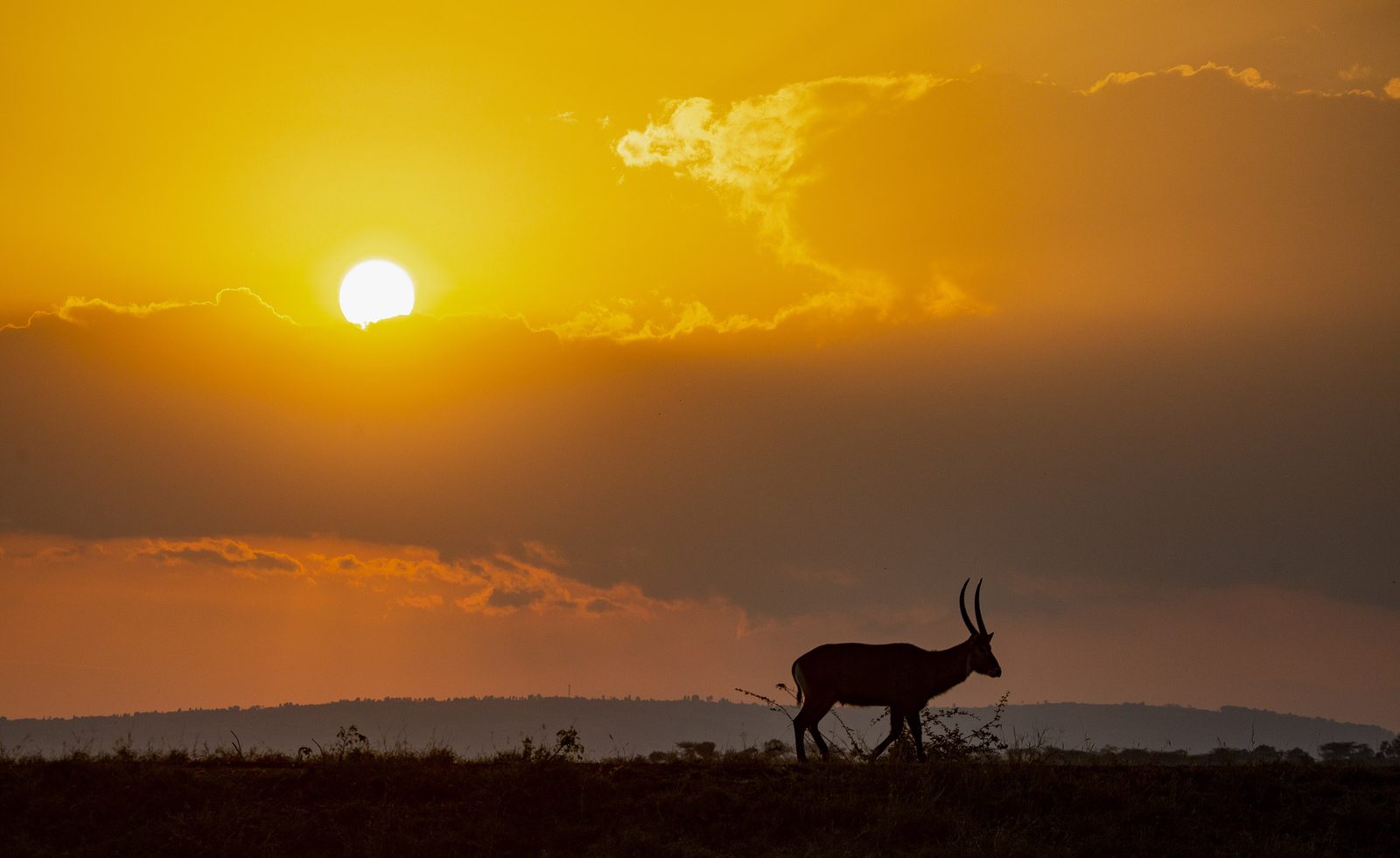 Sunset over the plains in Akagera National Park
