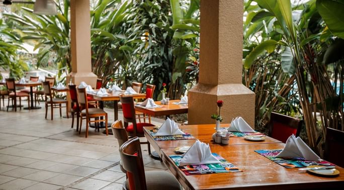 Dining at a comfortable lodge near the gorilla parks