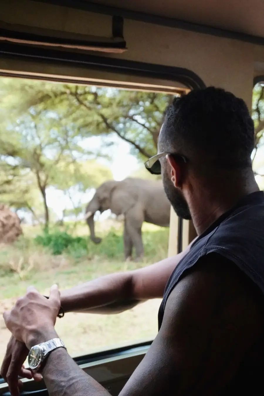 A guest watching an elephant from the open side of the safari vehicle