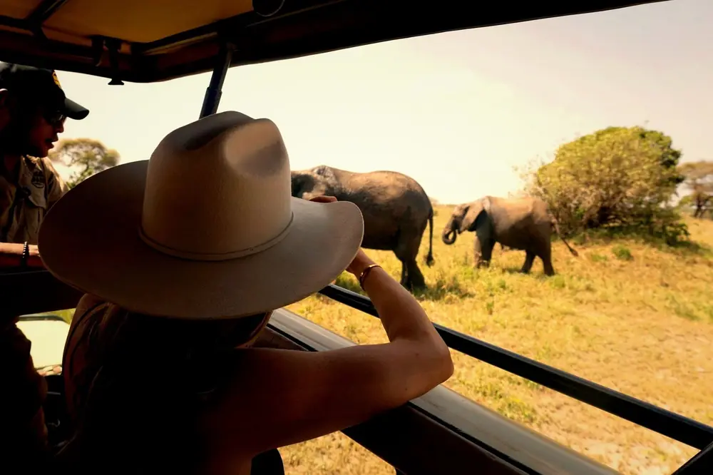 A guest in a wide-brimmed hat watching elephants from the safari vehicle