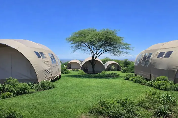 Africa Safari Manyara Migombani