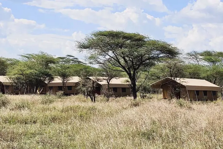 Africa Safari Serengeti Kusini