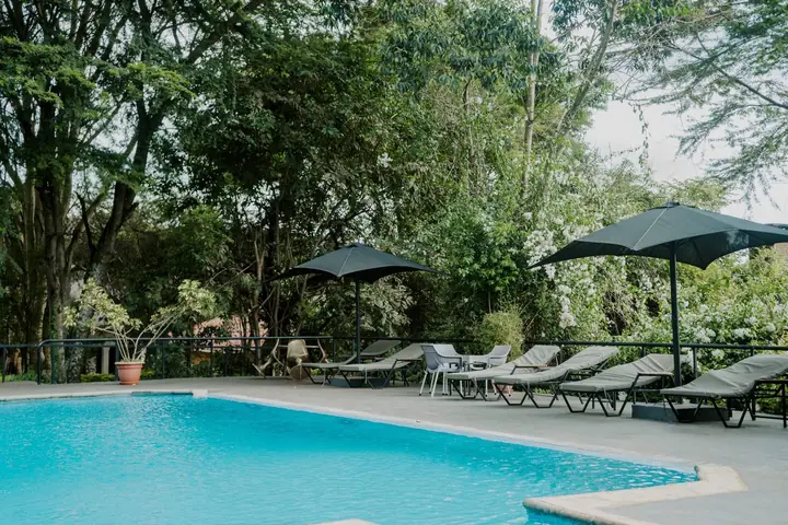 Eileen's Trees Inn