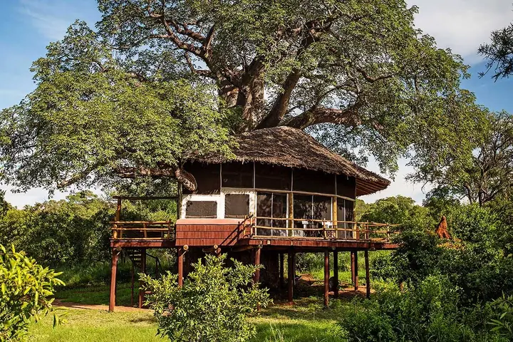 Elewana Tarangire Treetops