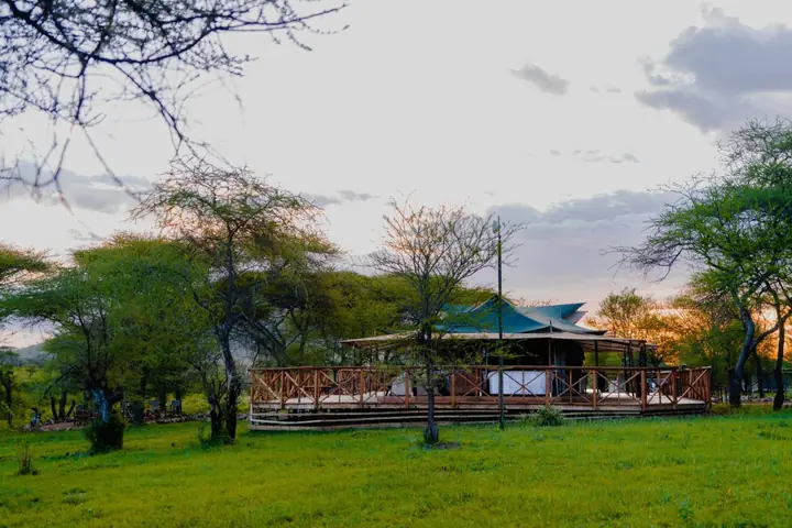 Embalakai Serengeti Camp