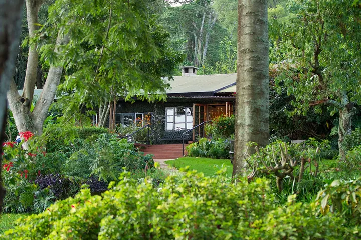 Gibb's Farm