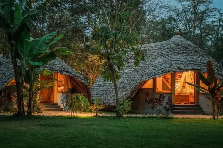 Jungle Pearl Resort
