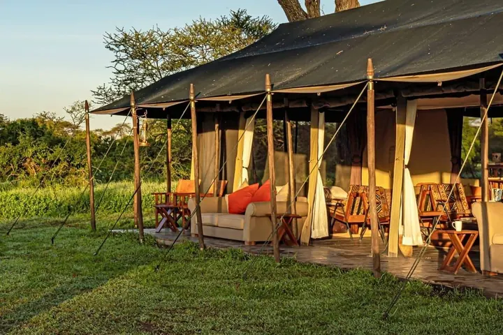 Lemala Ndutu