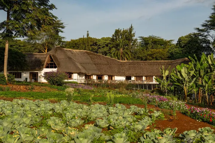 Ngorongoro Farm House