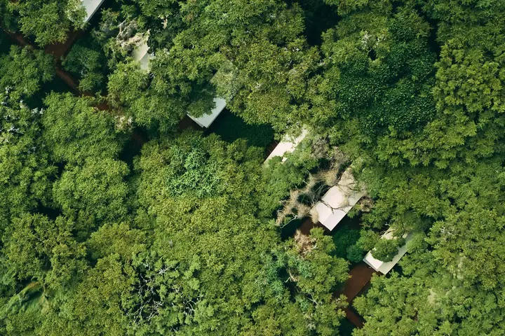 Ngorongoro Tortilis Camp