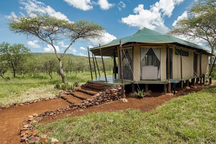 Ole Serai Luxury Camp - Moru Kopjes