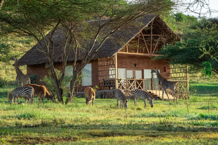 Serval Wildlife Lodge