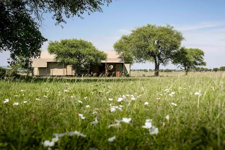 Singita Sabora Tented Camp