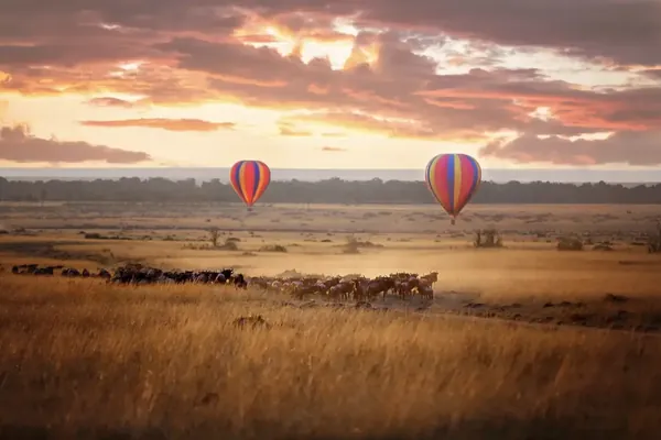 Hot air balloons over the Serengeti at sunrise