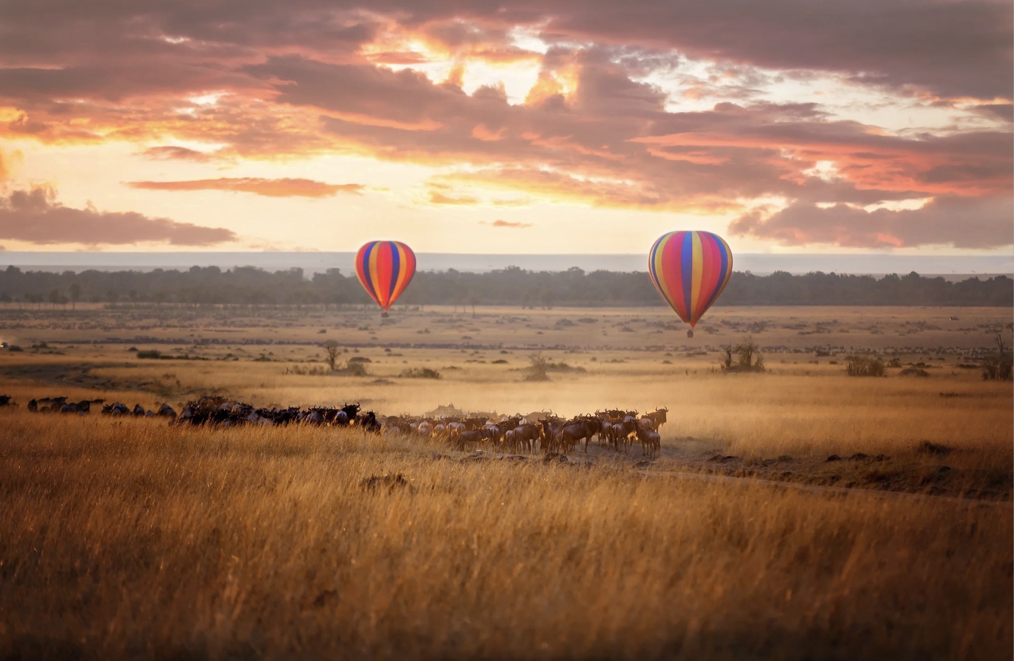 Hot air balloon over the Serengeti at sunrise