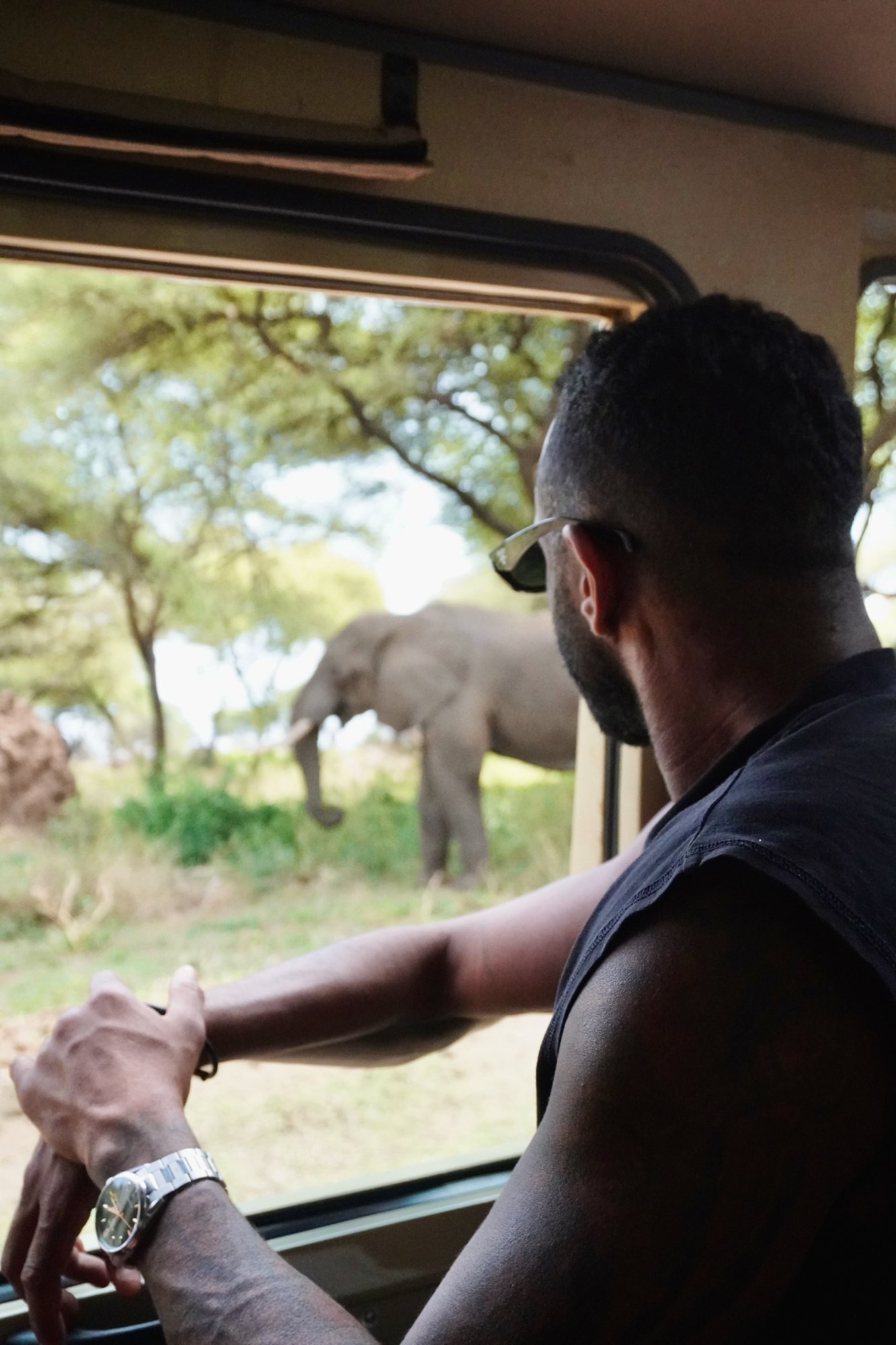 Is a Safari Safe?