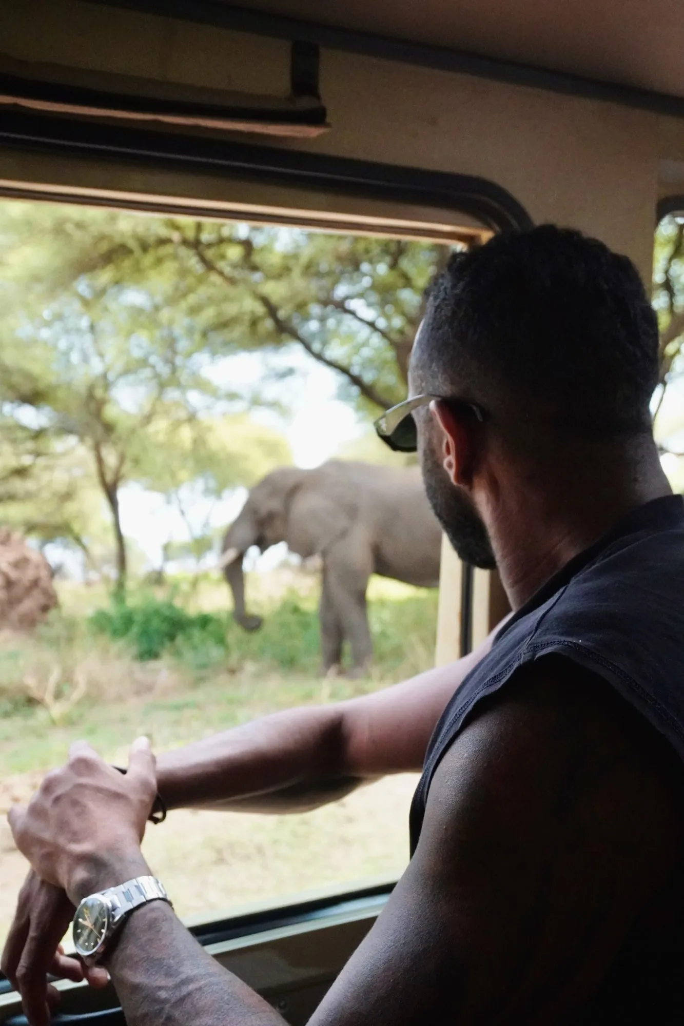 Guests watching elephants