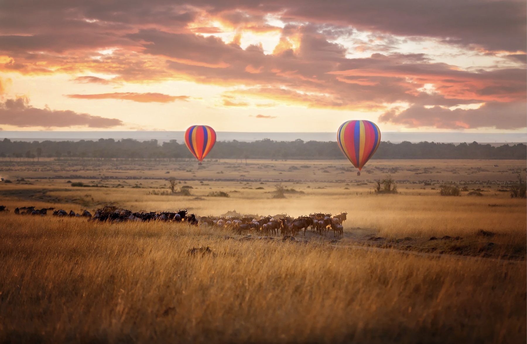Hot air balloon over Serengeti