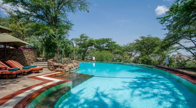 Serengeti plains at golden hour