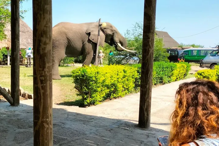 Engiri Game Lodge