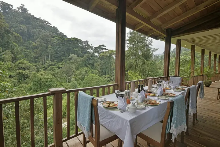 Four Gorillas Lodge