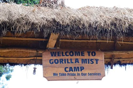Gorilla Mist Camp