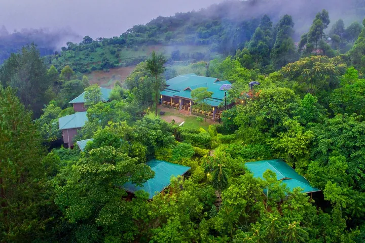Ichumbi Gorilla Lodge