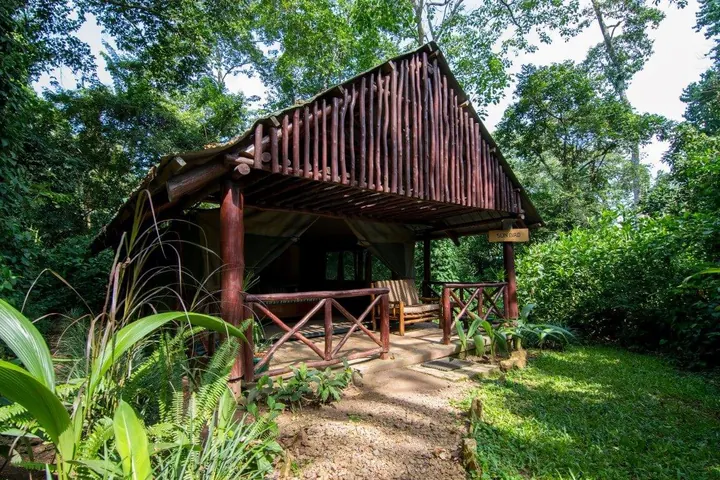 Kibale Forest Camp