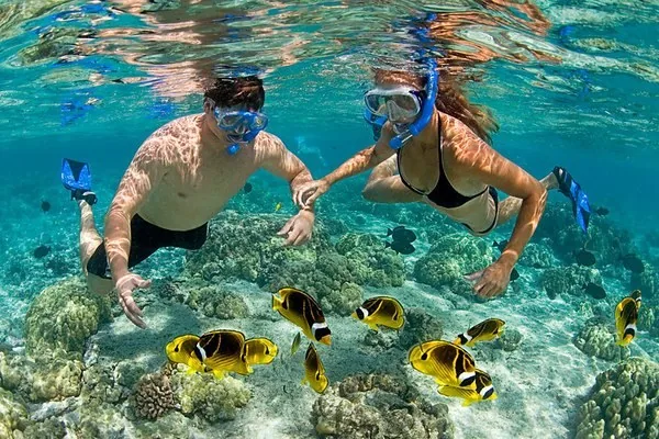 Two snorkelers above reef fish in the shallows