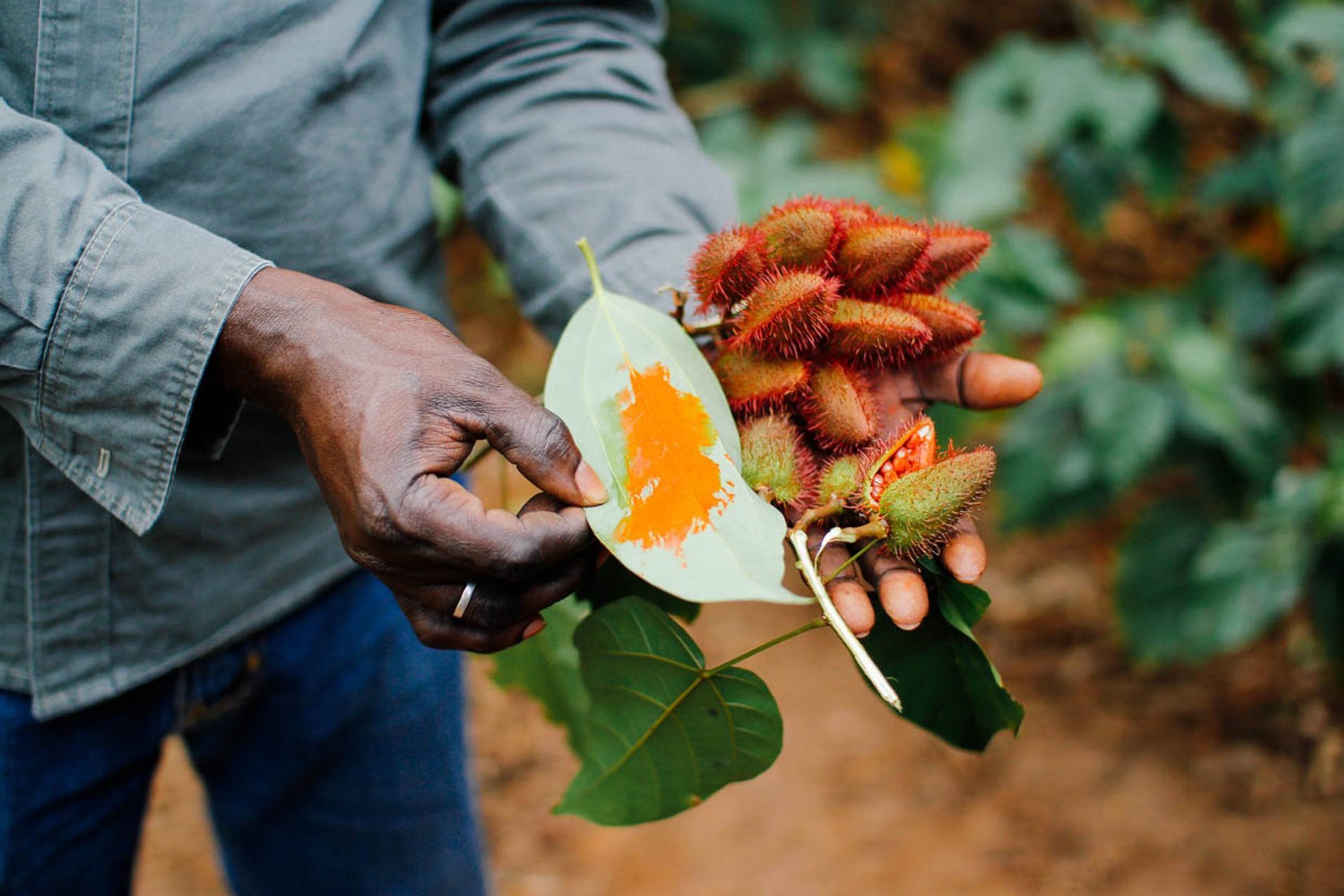 Spice Farm Tours