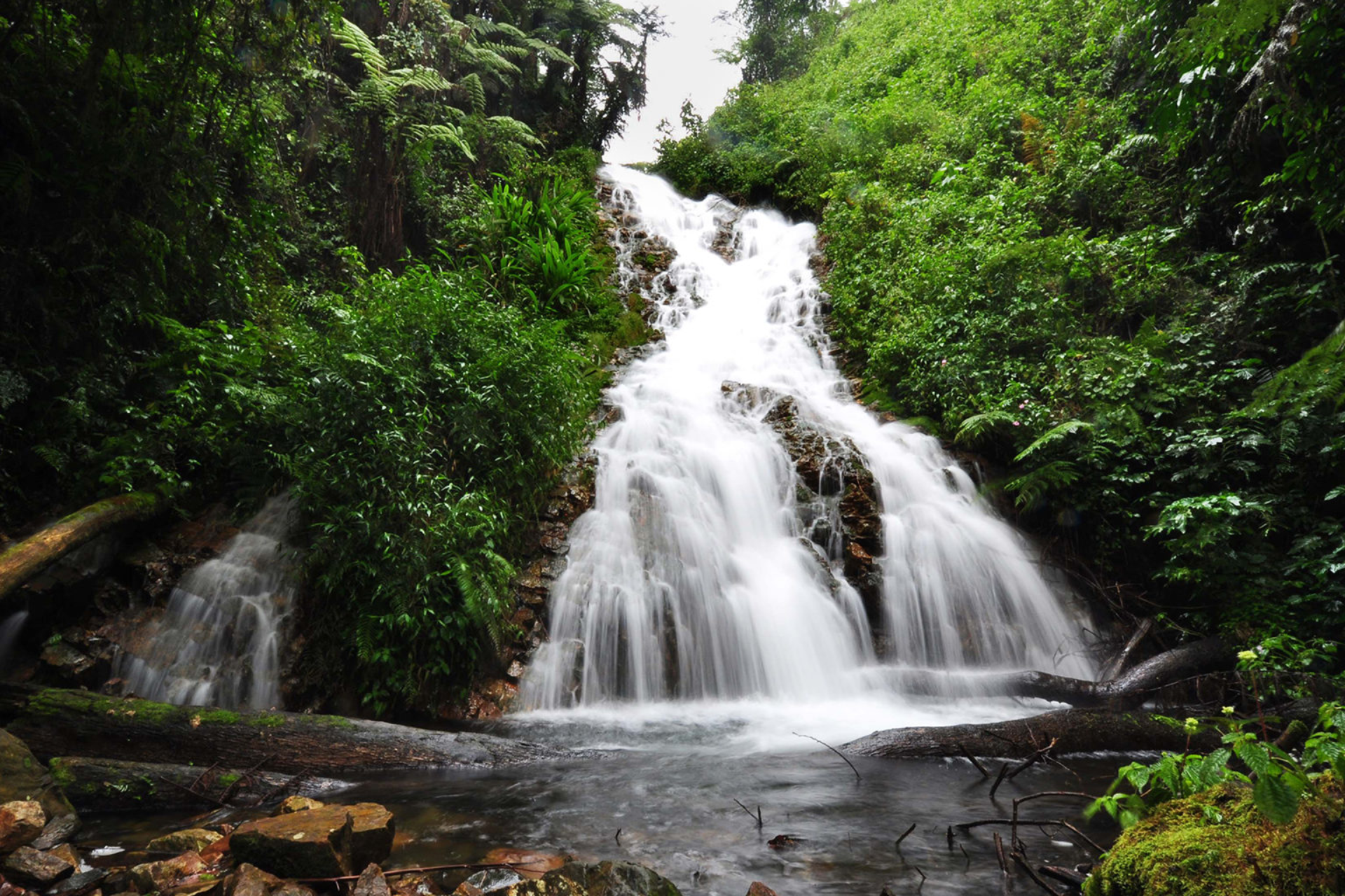 Bwindi Impenetrable National Park
