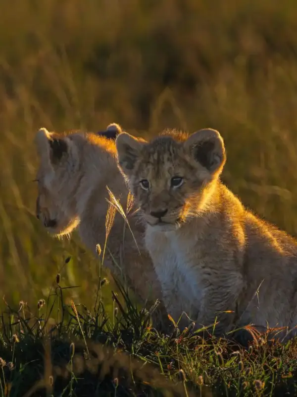 Kenya Destinations