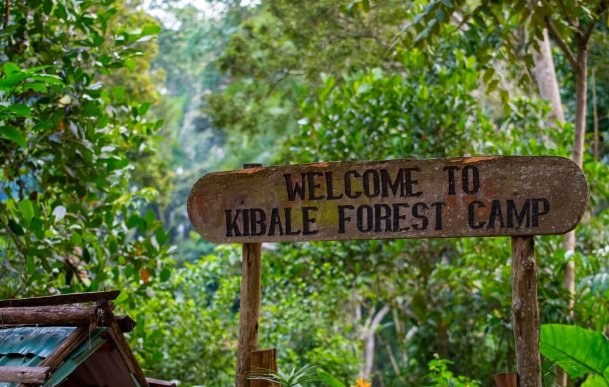 Kibale National Park