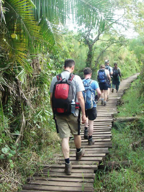 Guided Forest Walk