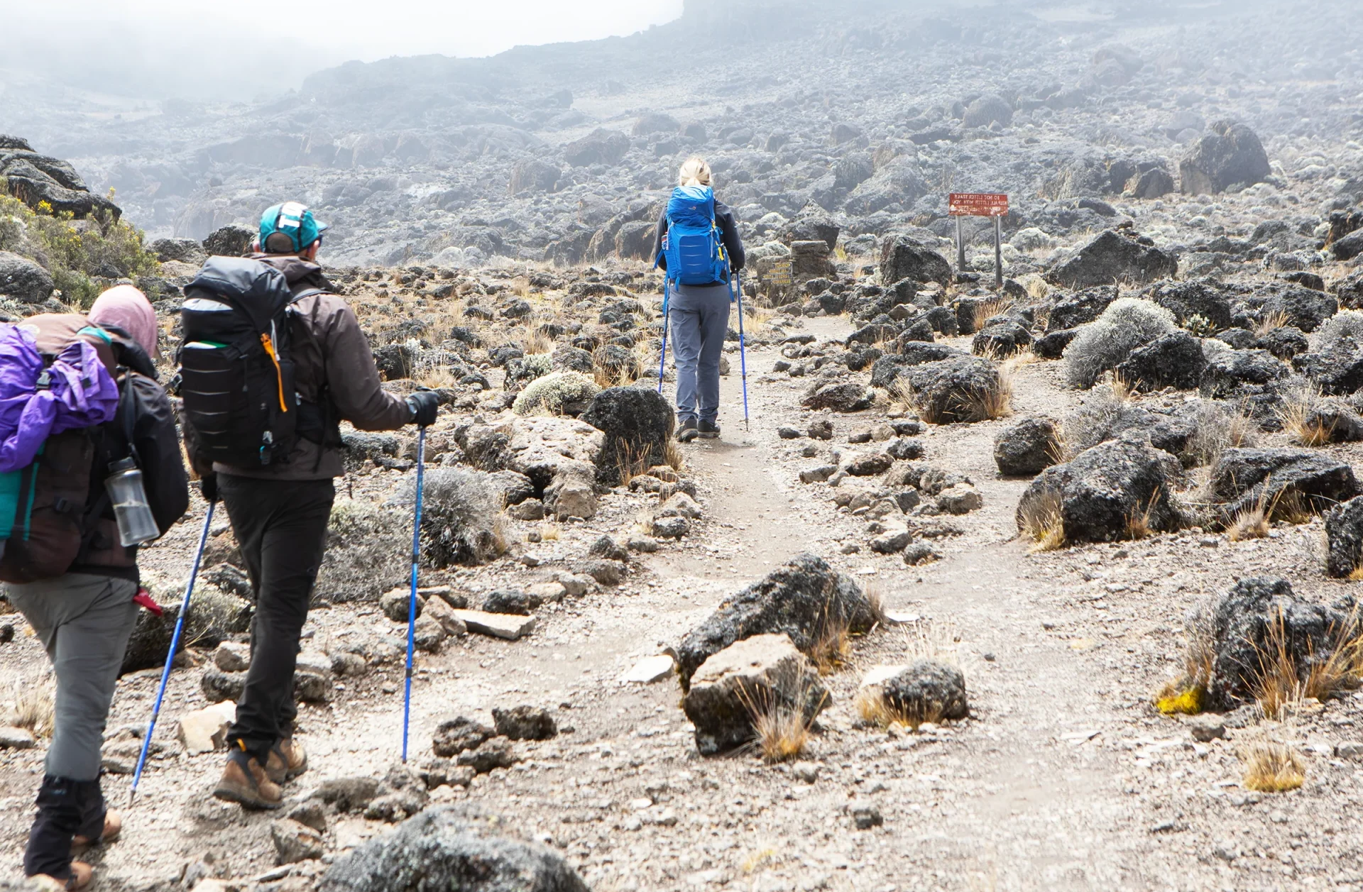Kilimanjaro Travel Insurance