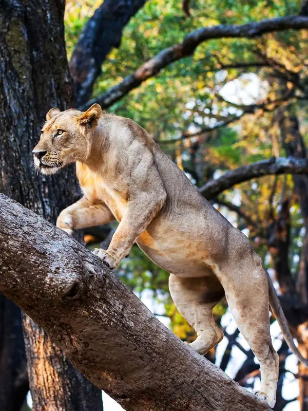 Lake Manyara